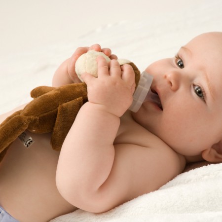 ぬいぐるみ付きのおしゃぶりです